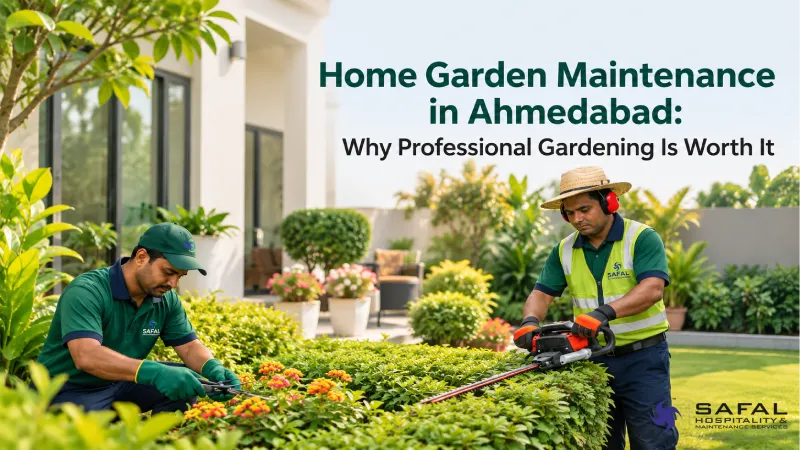 		Home Garden Maintenance in Ahmedabad: Why Professional Gardening Is Worth It
